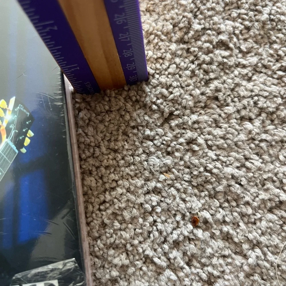Taylor Swift Purple and Gold style hardback book